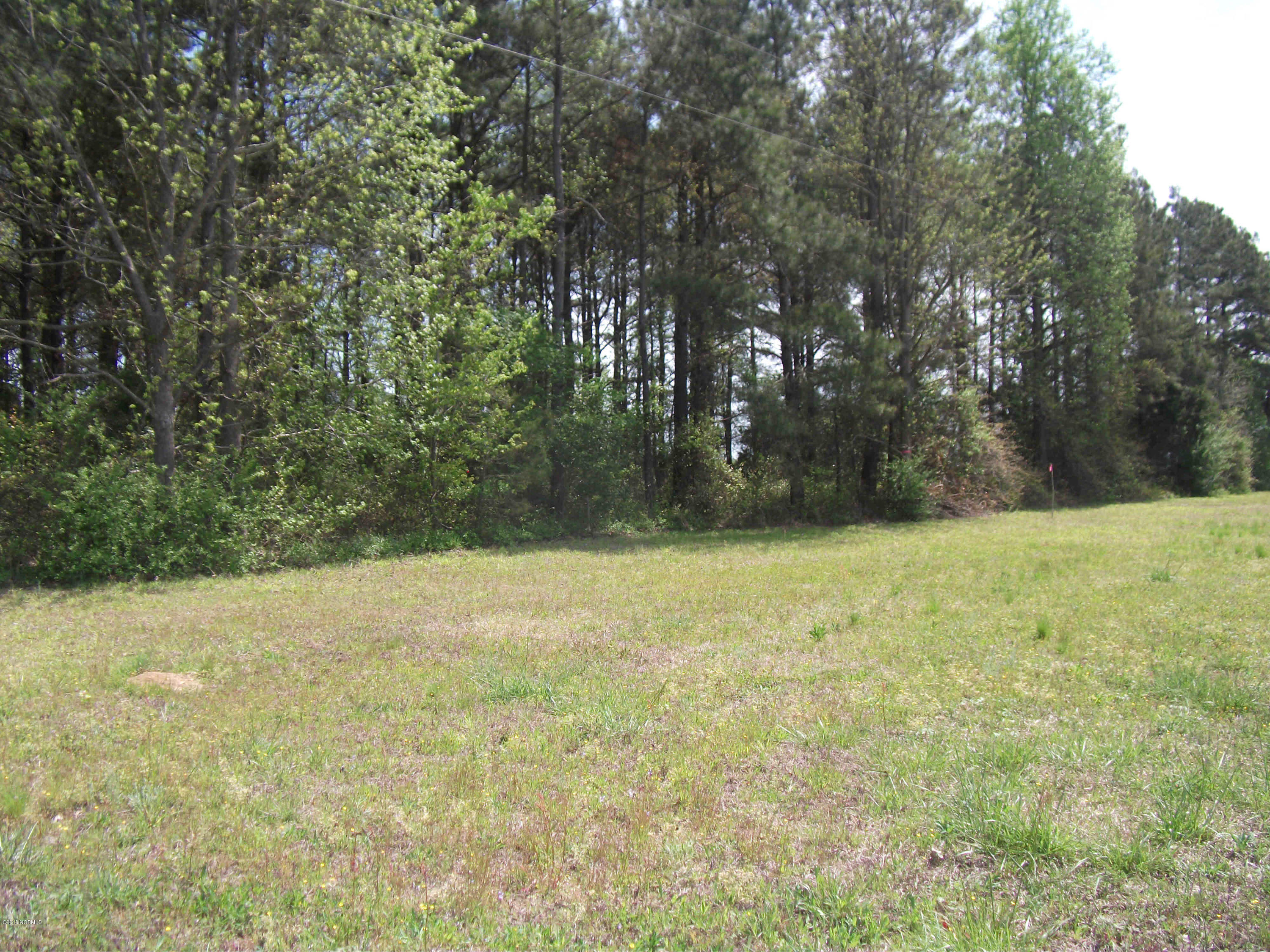 4 Murphy Road Clinton, NC 28328 - Photo 1 of 1 Wooded