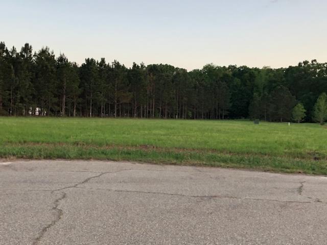 105 Paces Lane Boston, GA 31626 - Photo 1 of 1 Main View