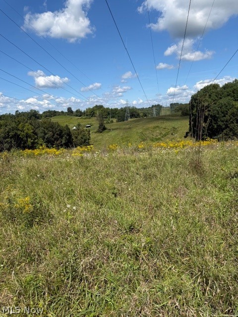 38255 Lees Run Road Cadiz, OH 43907 - Photo 13 of 37 Gallery Image 13