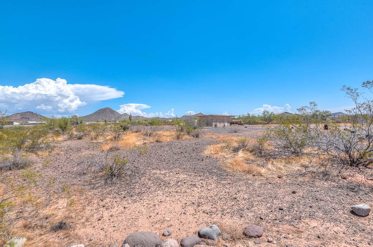 1616 West Yearling Road Phoenix, AZ 85085 - Photo 25 of 42 Backyard Views