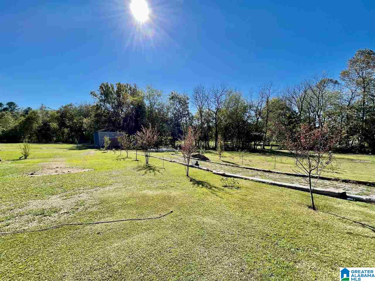 70 Greene Branch Road Ragland, AL 35131 - Photo 4 of 18