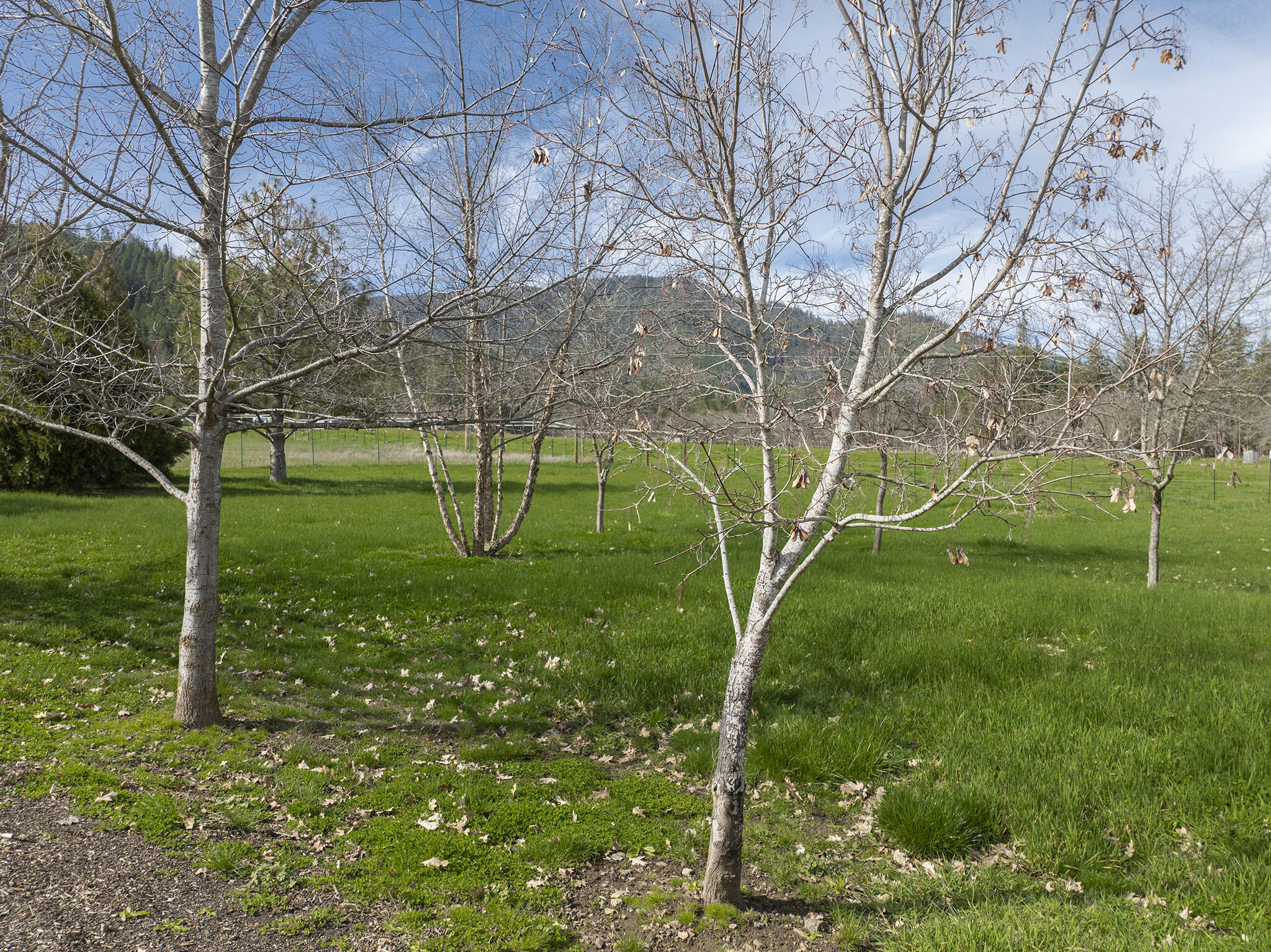 15902 Water Gap Road Williams, OR 97544 - Photo 51 of 67 50