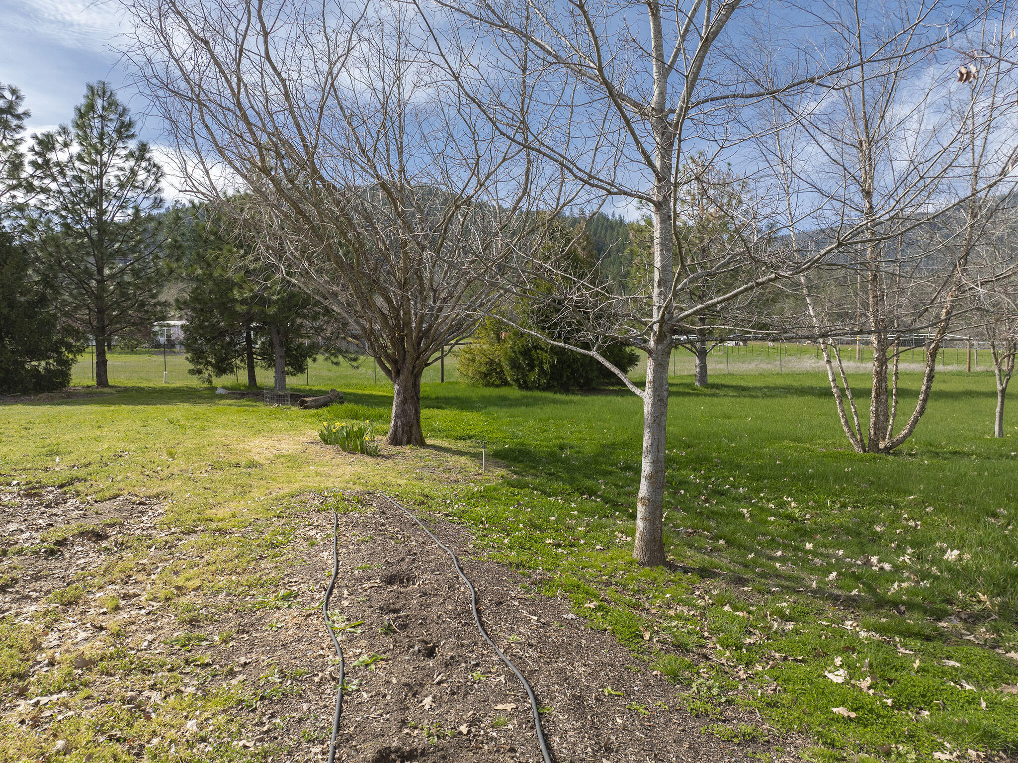 15902 Water Gap Road Williams, OR 97544 - Photo 52 of 67 51
