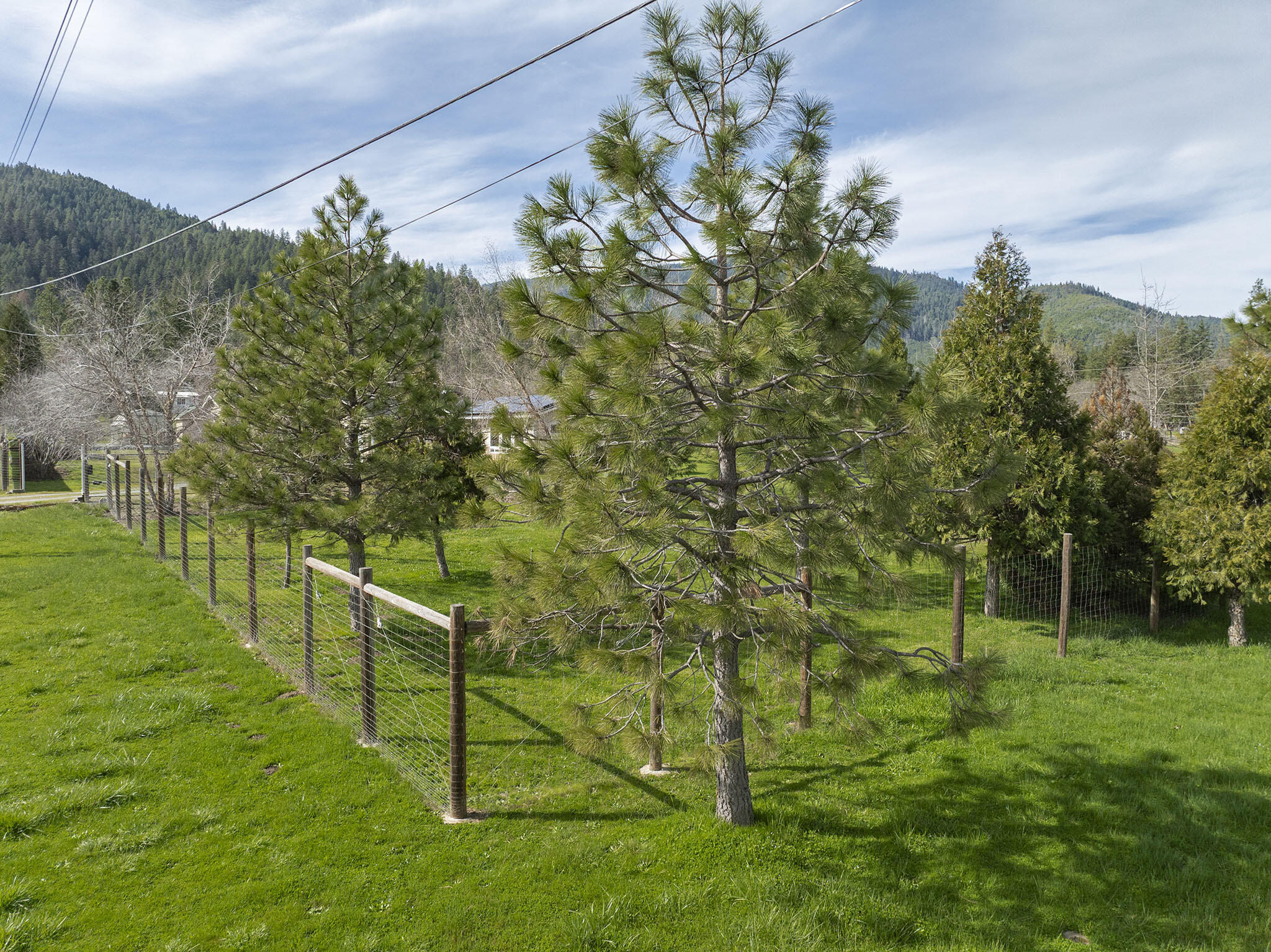 15902 Water Gap Road Williams, OR 97544 - Photo 55 of 67 54