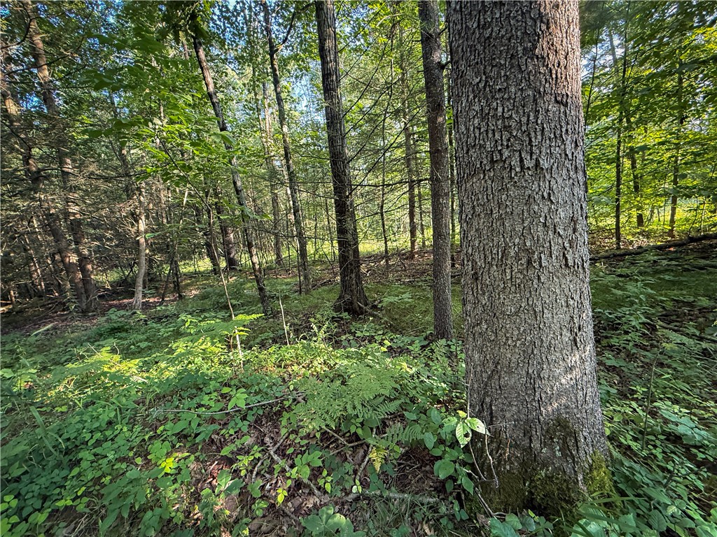 144 Hardscrabble Road Baldwin, NY 14861 - Photo 36 of 50 Gallery Image 36