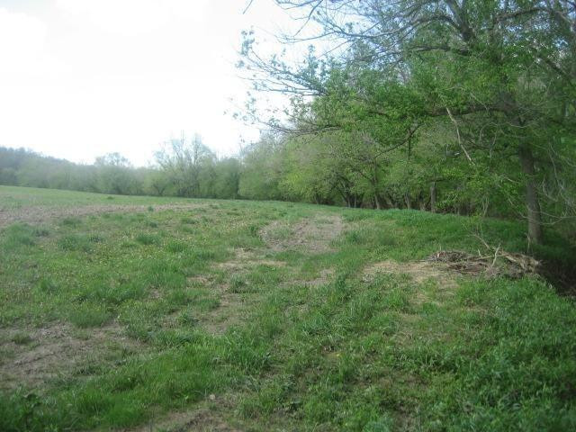 4158 Pinhook Road Mount Olivet, KY 41064 - Photo 30 of 35 Photo 30