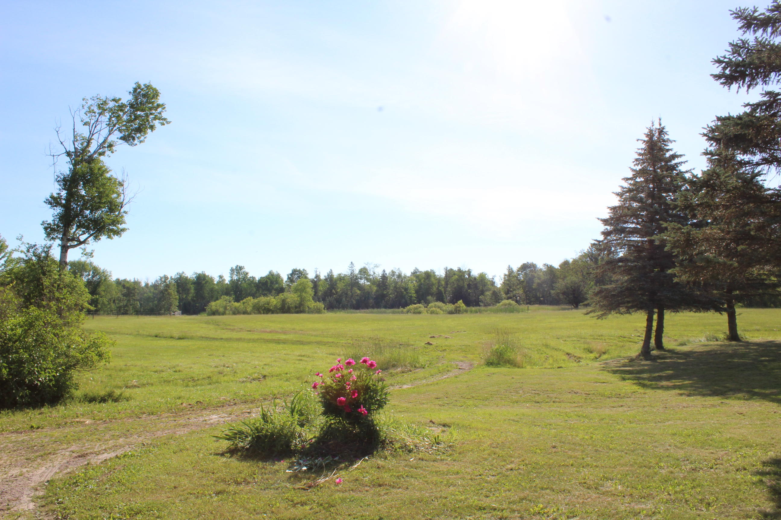 7333 Truax Road Hillman, MI 49746 - Photo 48 of 67 Gallery Image 48