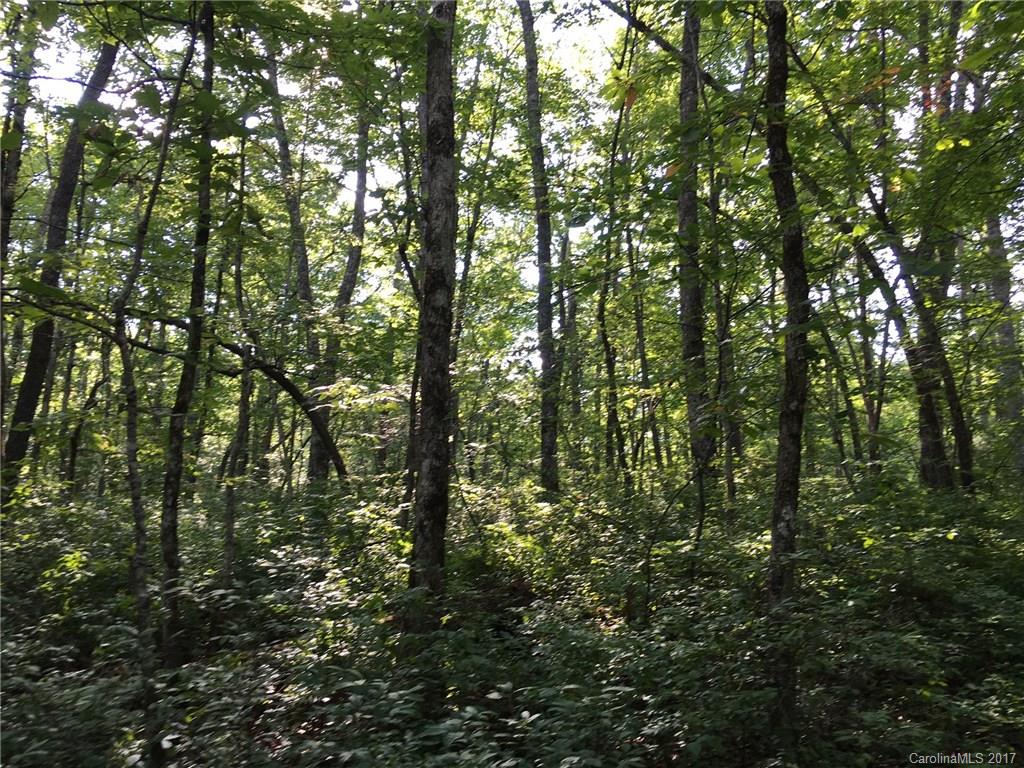 16 Robin Hood Road Brevard, NC 28712 - Photo 1 of 6 Gallery Image 1