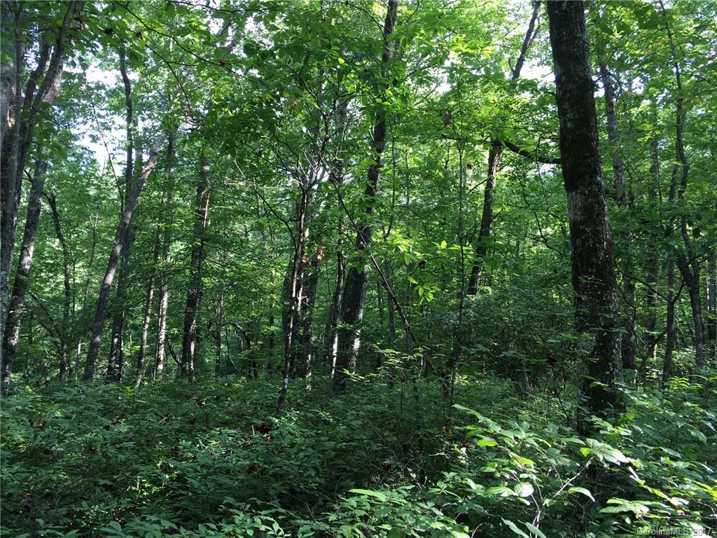 16 Robin Hood Road Brevard, NC 28712 - Photo 2 of 6 Gallery Image 2