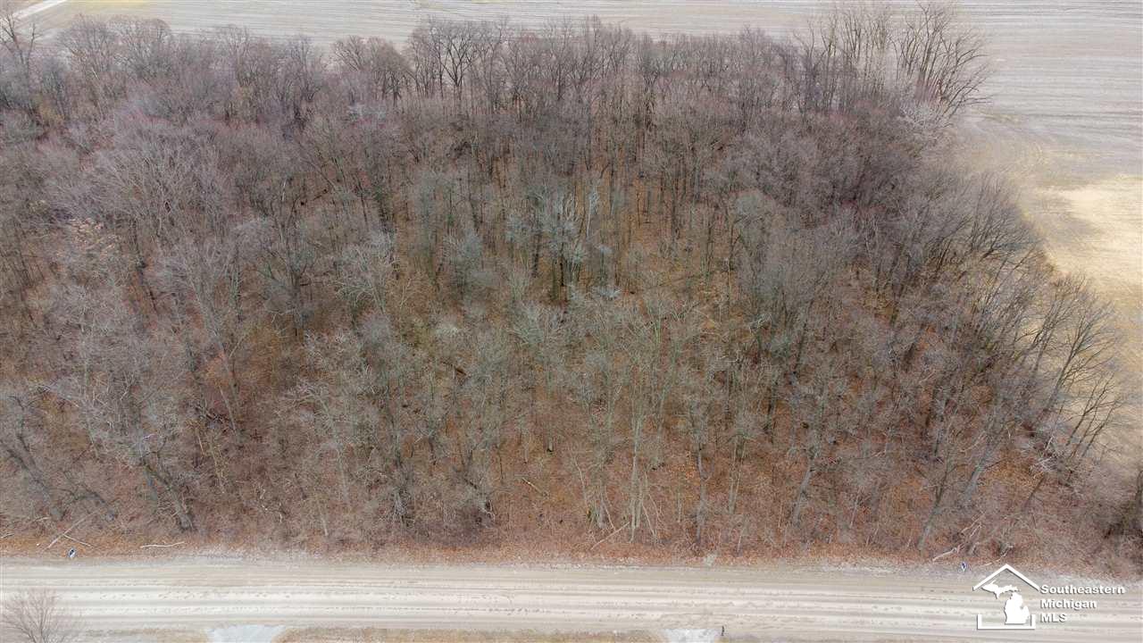 0 Wells Road Petersburg, MI 49270 - Photo 2 of 10