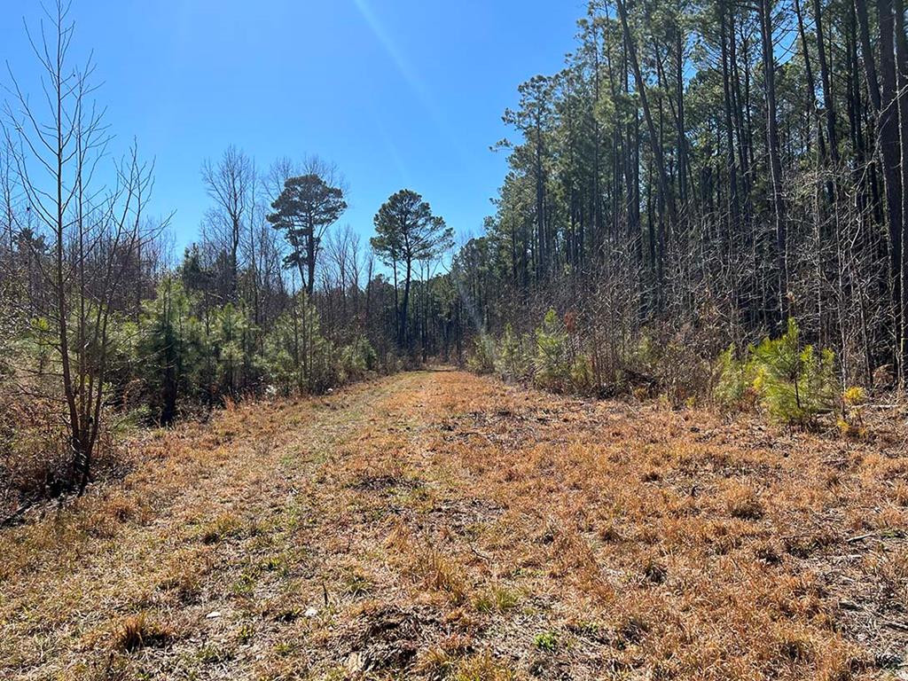 2128 North Main Street Sumter, SC 29153 - Photo 22 of 23 Gallery Image 22
