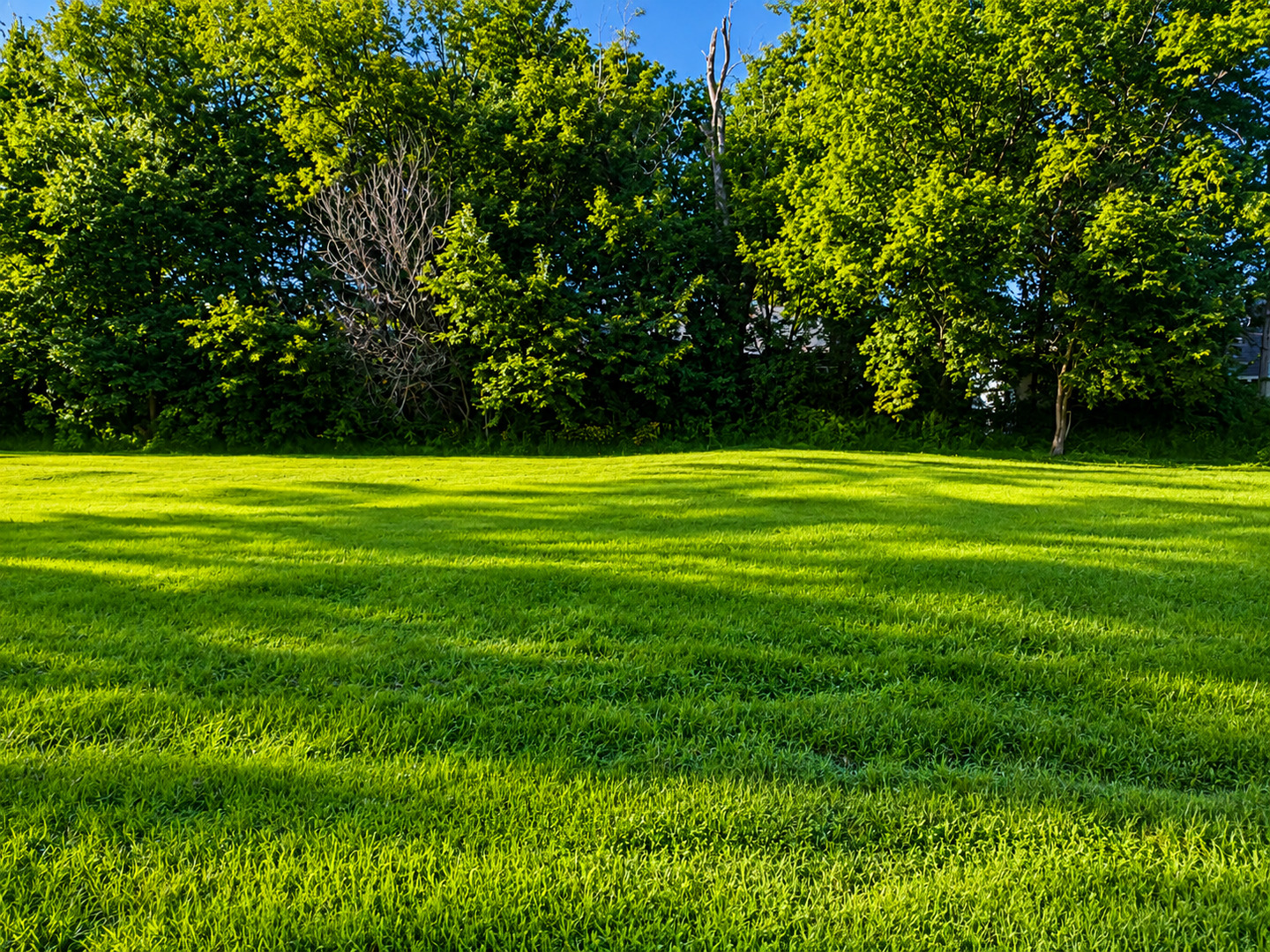 1341 Ridgeway Avenue Aurora, IL 60506 - Photo 1 of 3 Gallery Image 1