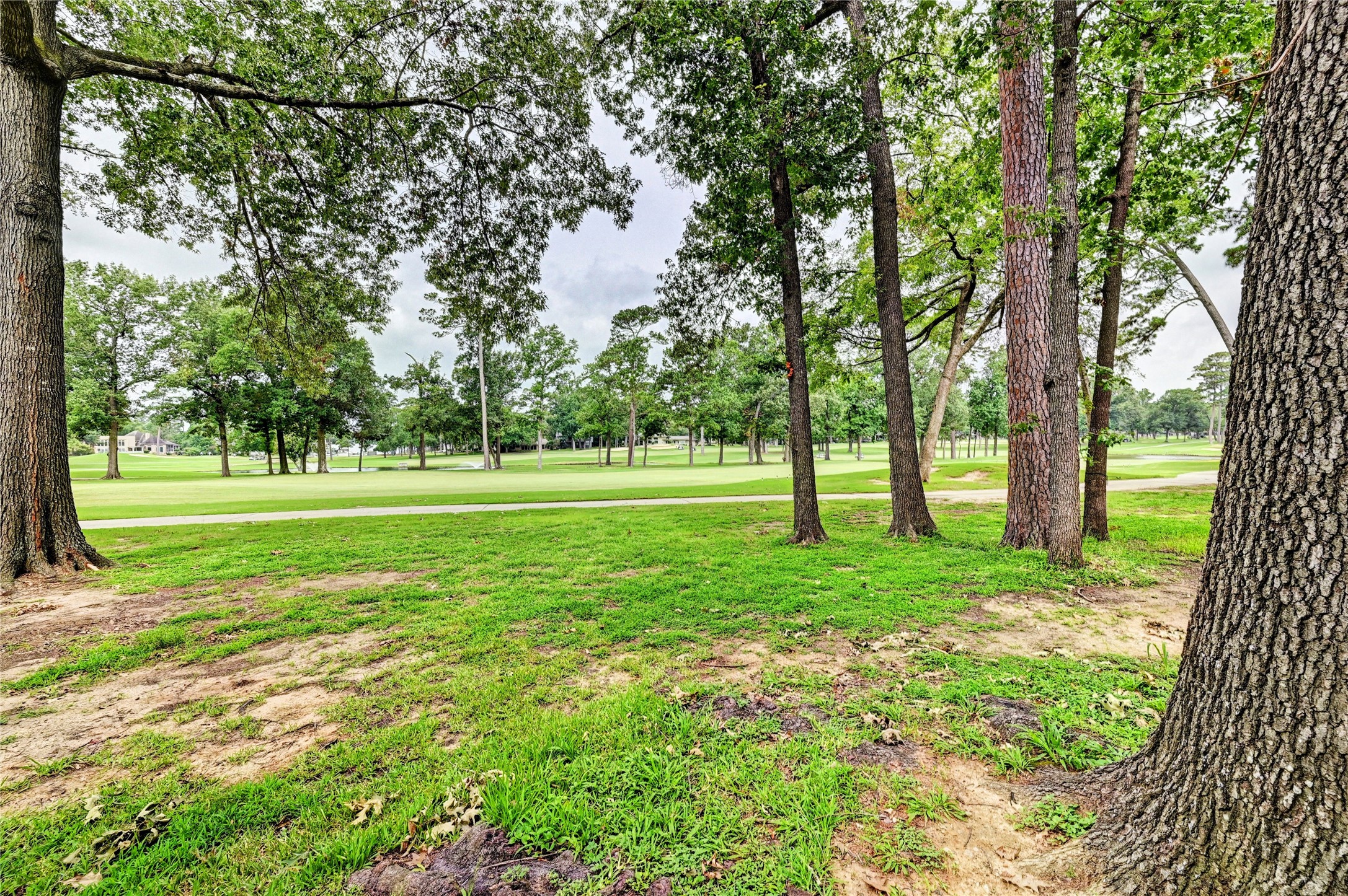 12900 Walden Road, Unit 6 Montgomery, TX 77356 - Photo 31 of 39 Fabulous views of the golf course, nature and there are deer spotted nearby.