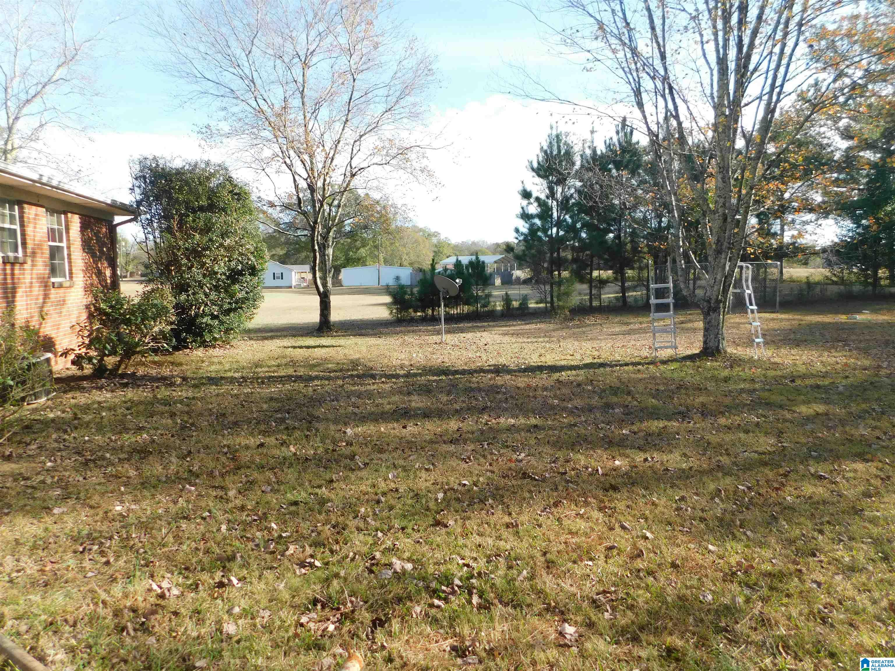 2954 Mt Olive Road Mount Olive, AL 35117 - Photo 27 of 34