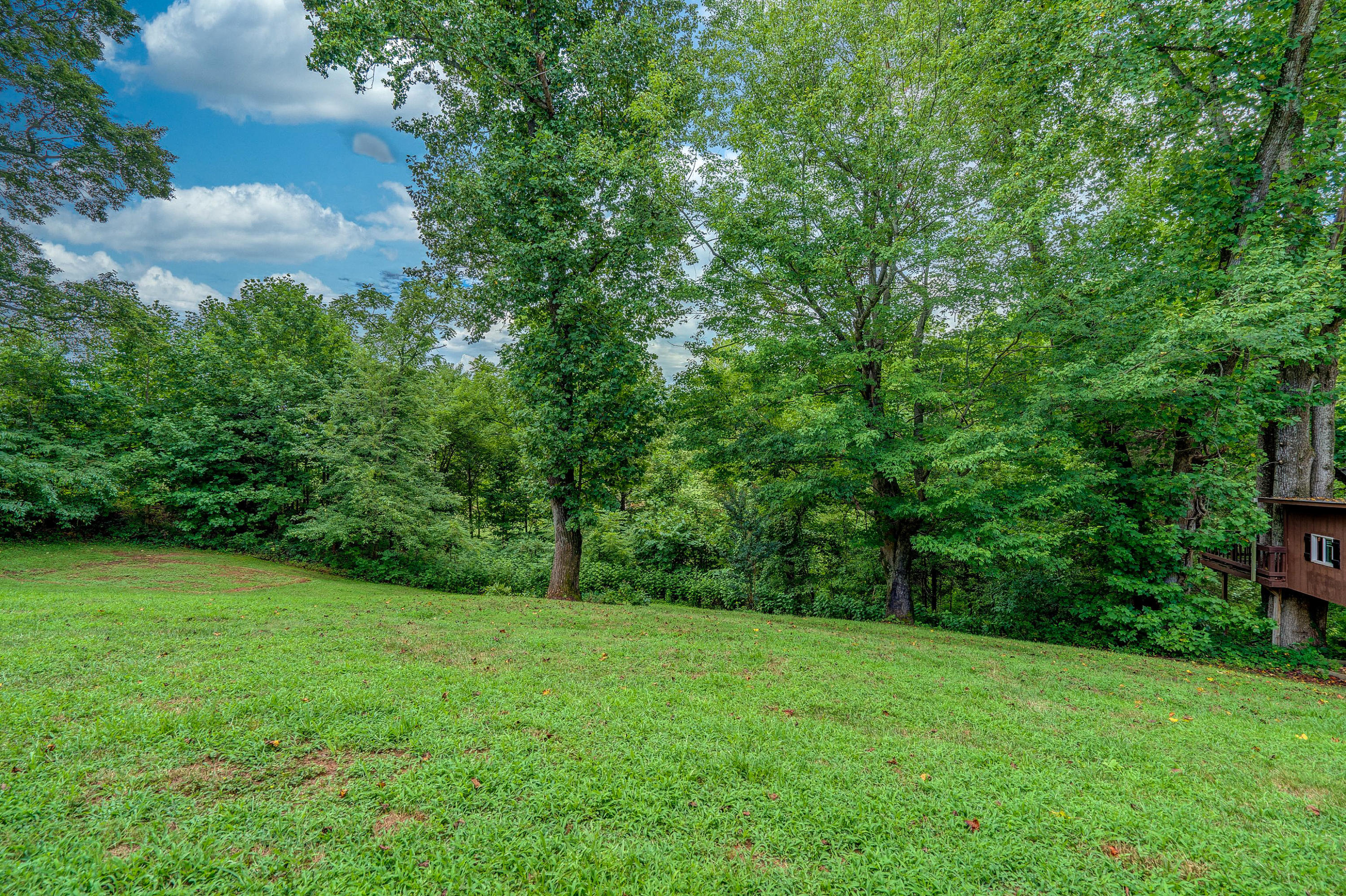 1205 Summit View Road Goodview, VA 24095 - Photo 40 of 46 a view of a lush green space