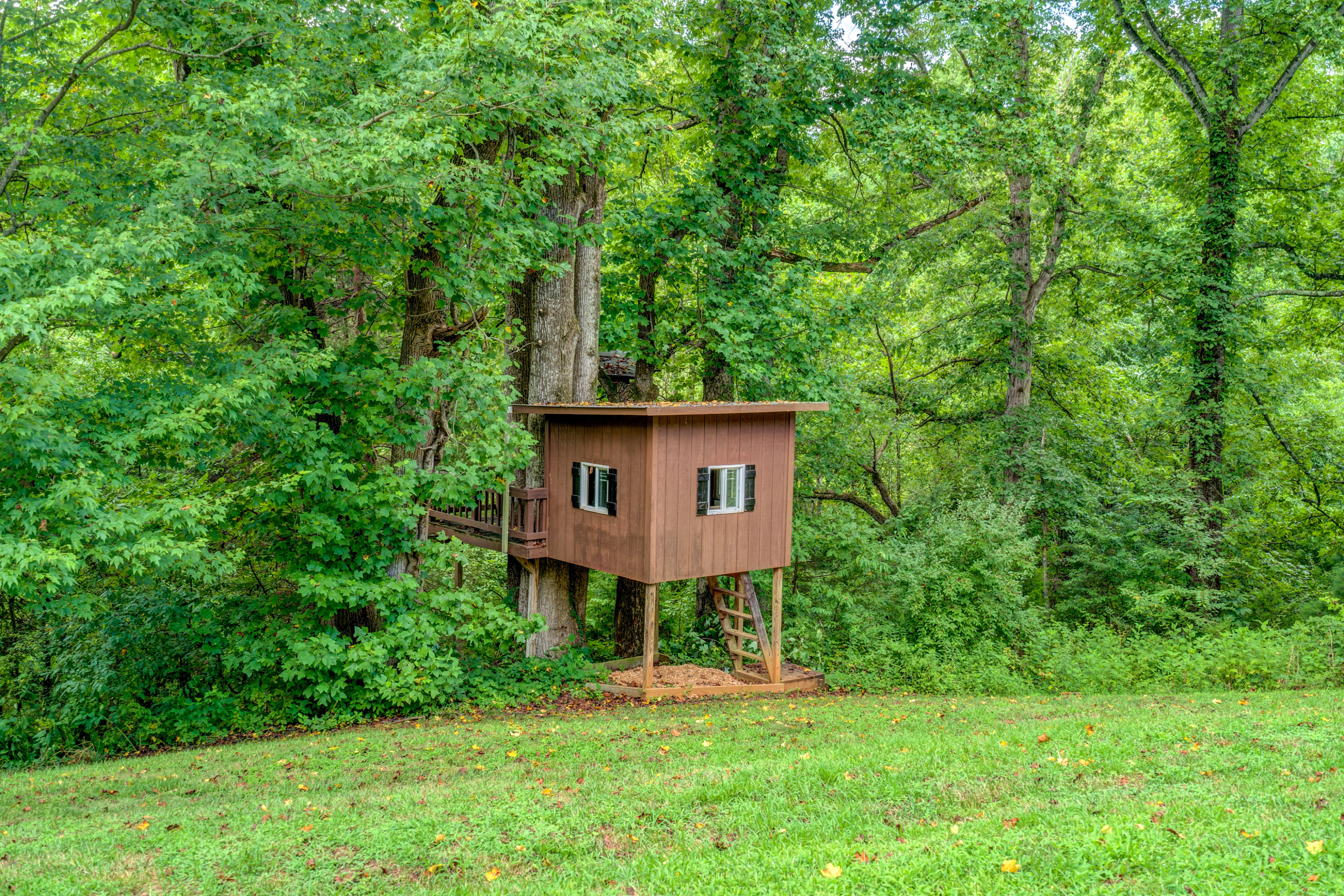1205 Summit View Road Goodview, VA 24095 - Photo 41 of 46 a view of a back yard