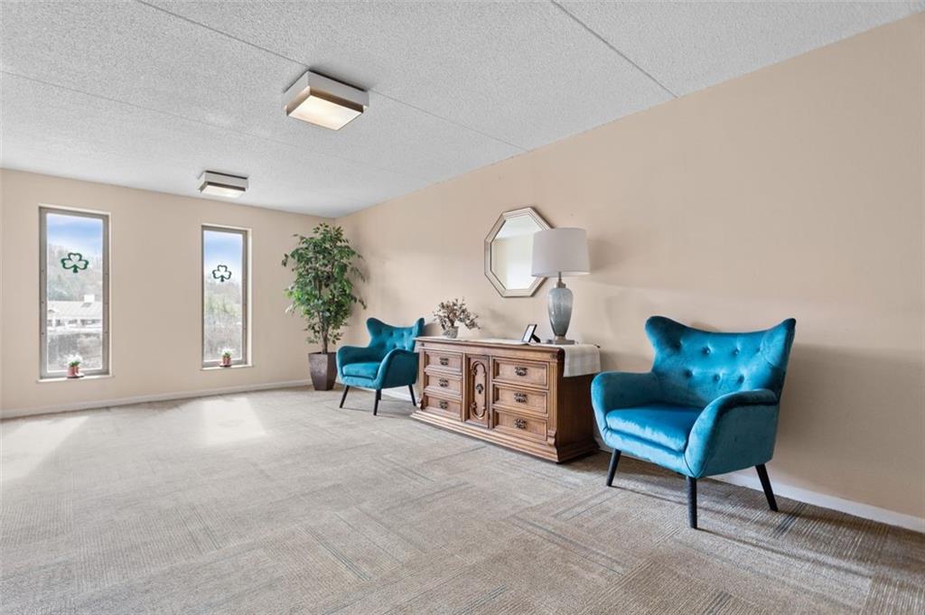 2160 Greentree Road, Unit 201W Pittsburgh, PA 15220 - Photo 4 of 25 Gallery Image 4