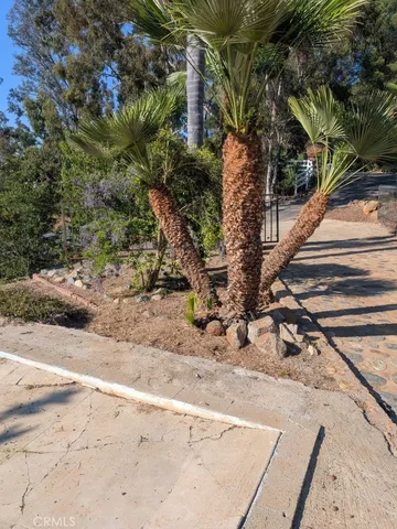 a view of a yard with plants