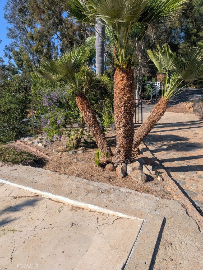 a view of a yard with plants