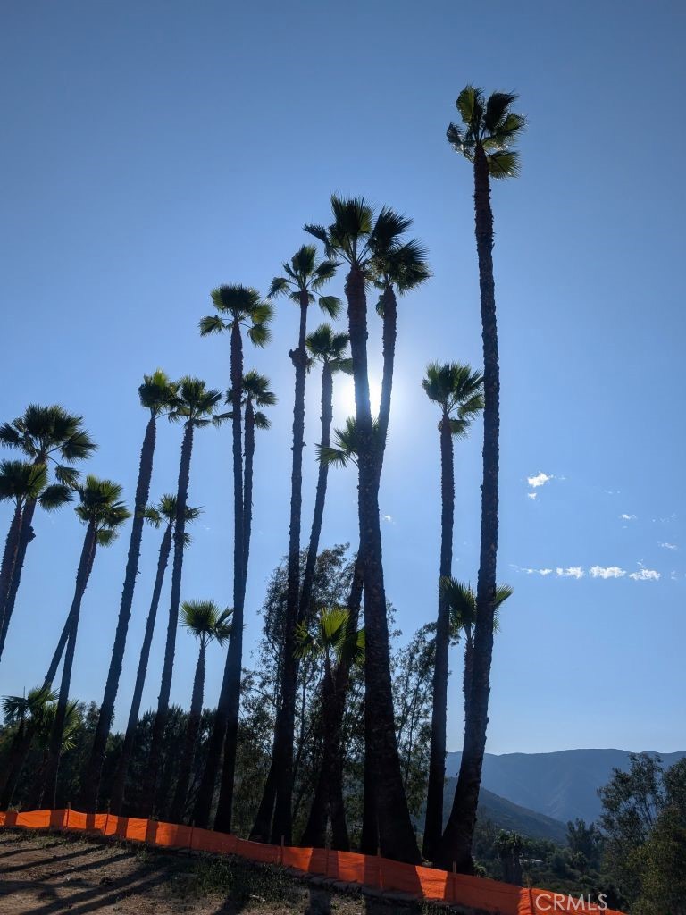 4287 Rosa Rancho Lane Fallbrook, CA 92028 - Photo 18 of 24 a view of a hallway with a flower pot