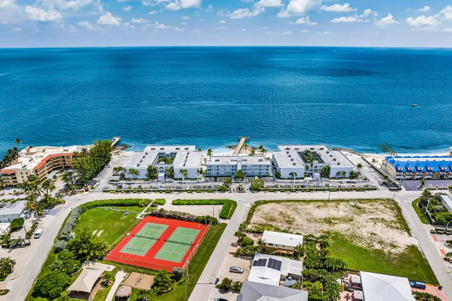 an aerial view of a residential houses with outdoor space