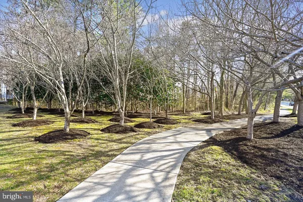 a view of a yard with swimming pool