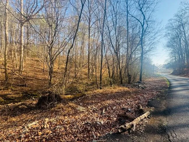 $18,000 | .75-acre Rauschenberg Road Northwest, Dalton, GA 30721