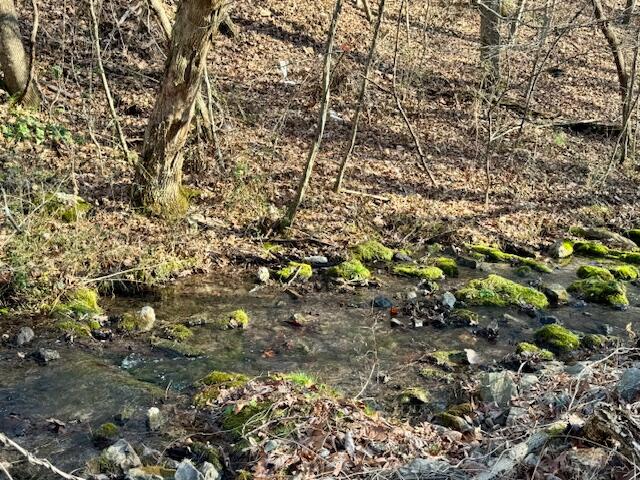 .75-acre Rauschenberg Road Northwest Dalton, GA 30721 - Photo 3 of 7 IMG_5435