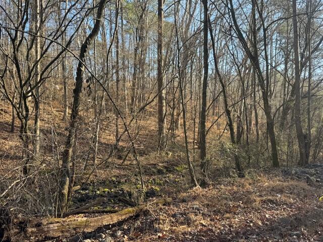 .75-acre Rauschenberg Road Northwest Dalton, GA 30721 - Photo 5 of 7 IMG_5432