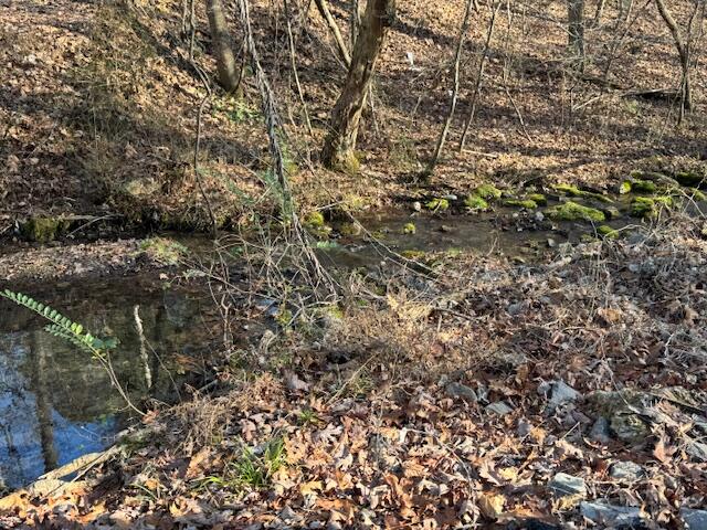 .75-acre Rauschenberg Road Northwest Dalton, GA 30721 - Photo 6 of 7 IMG_5431