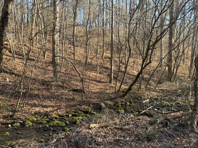 .75-acre Rauschenberg Road Northwest Dalton, GA 30721 - Photo 7 of 7 IMG_5430