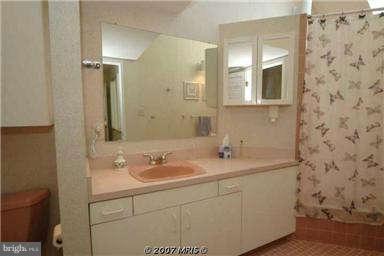 1655 Cedar Hollow Way Reston, VA 20194 - Photo 14 of 29 Bath (Master)