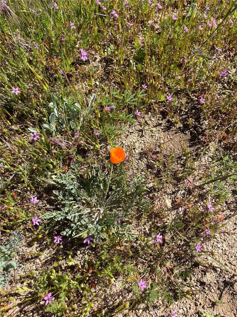 0 Lebec Road Lebec, CA 93243 - Photo 2 of 9