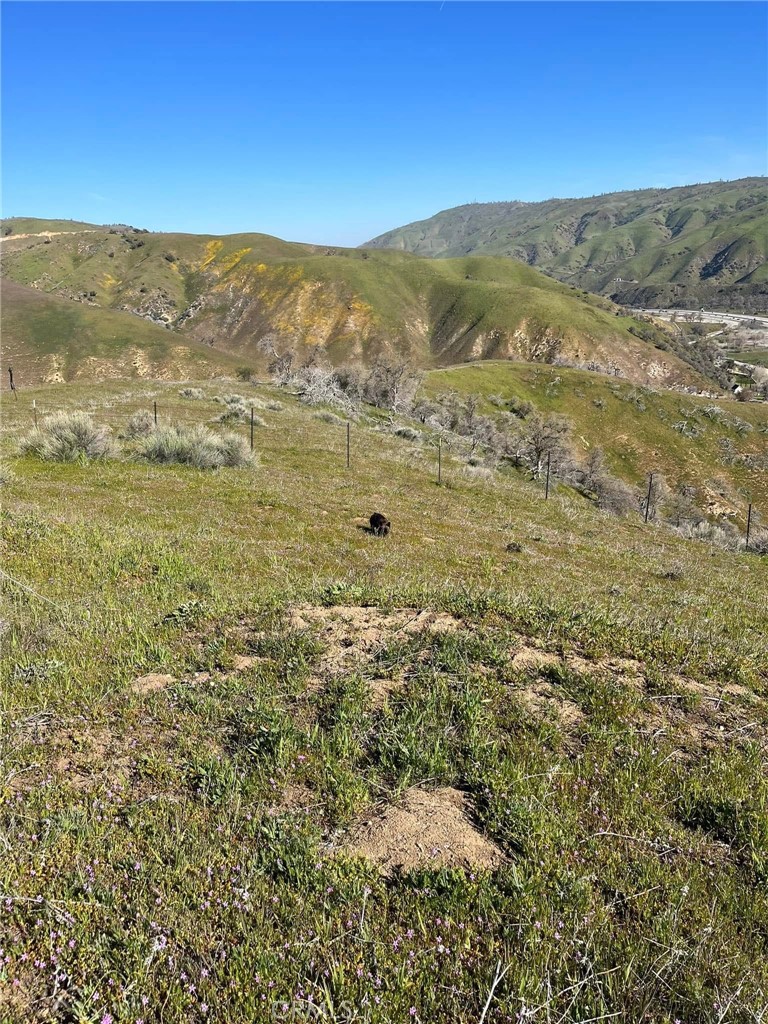 0 Lebec Road Lebec, CA 93243 - Photo 3 of 9