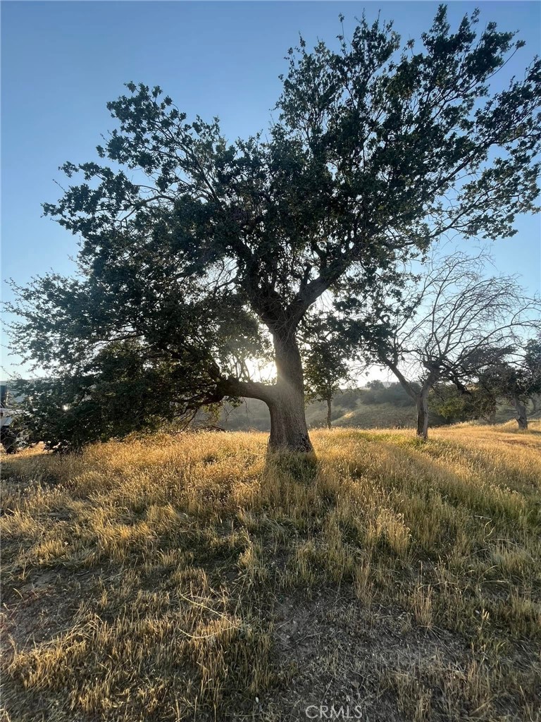 0 Lebec Road Lebec, CA 93243 - Photo 7 of 9