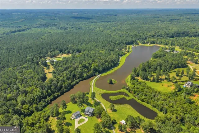 a view of a garden with an outdoor space