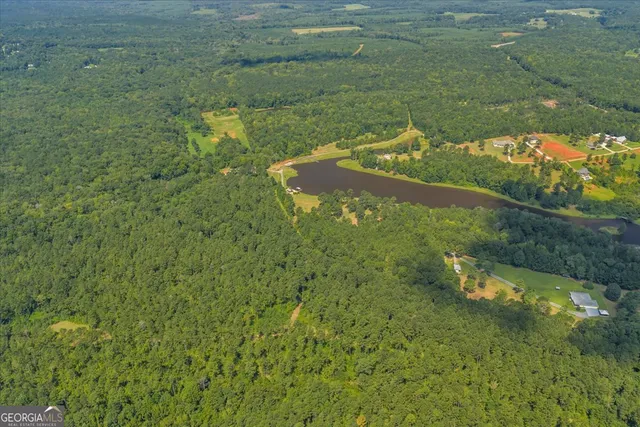 a view of a lake with a city view