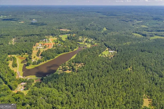 a view of a lake with a mountain in the background
