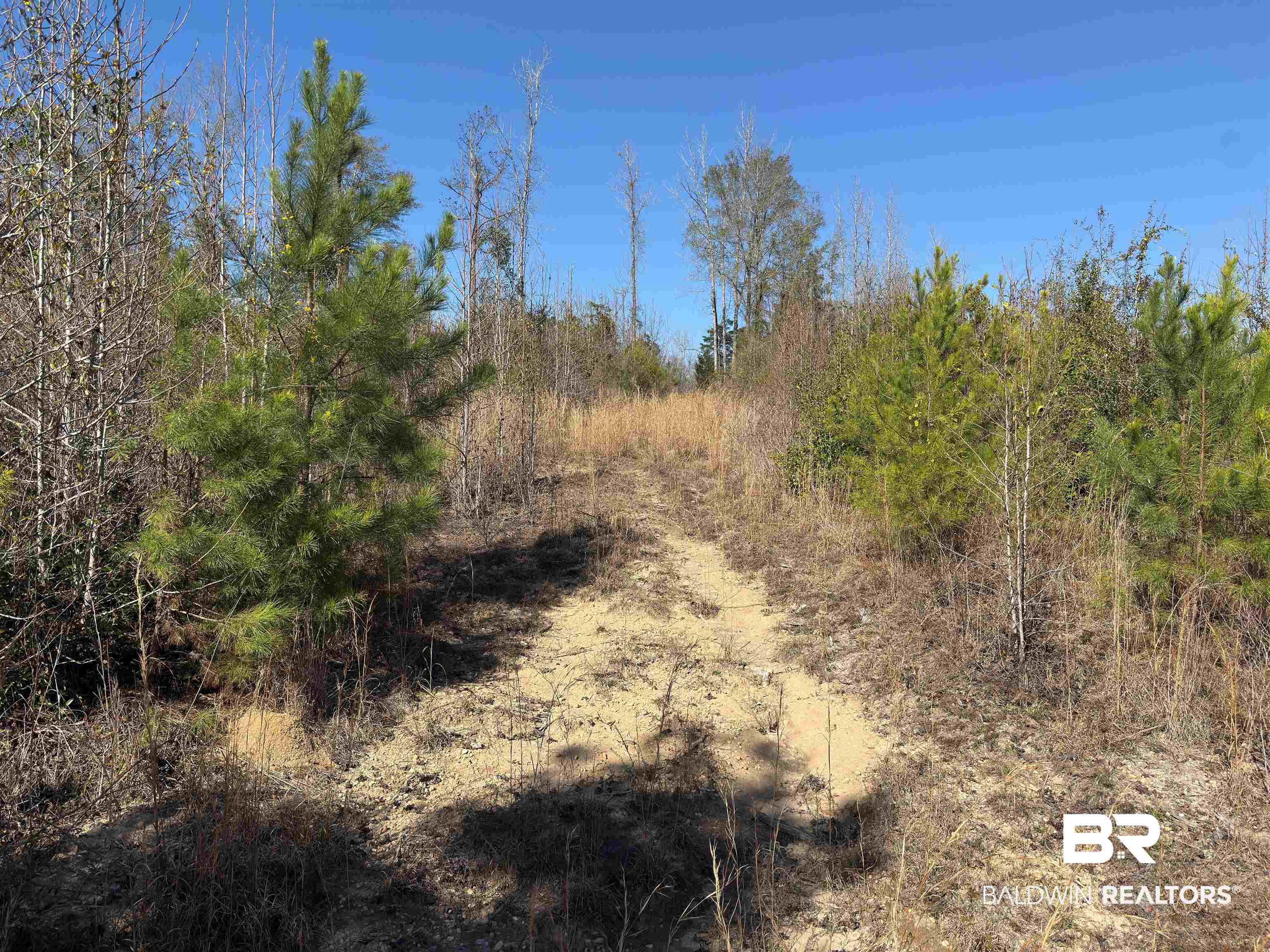 2006 Evergreen Road Jackson, AL 36545 - Photo 74 of 79