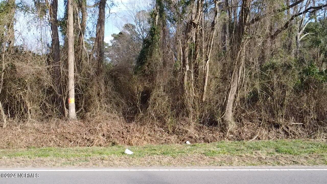 0 Doctors Creek Road Willard, NC 28478 - Photo 2 of 11 Doctors Creek