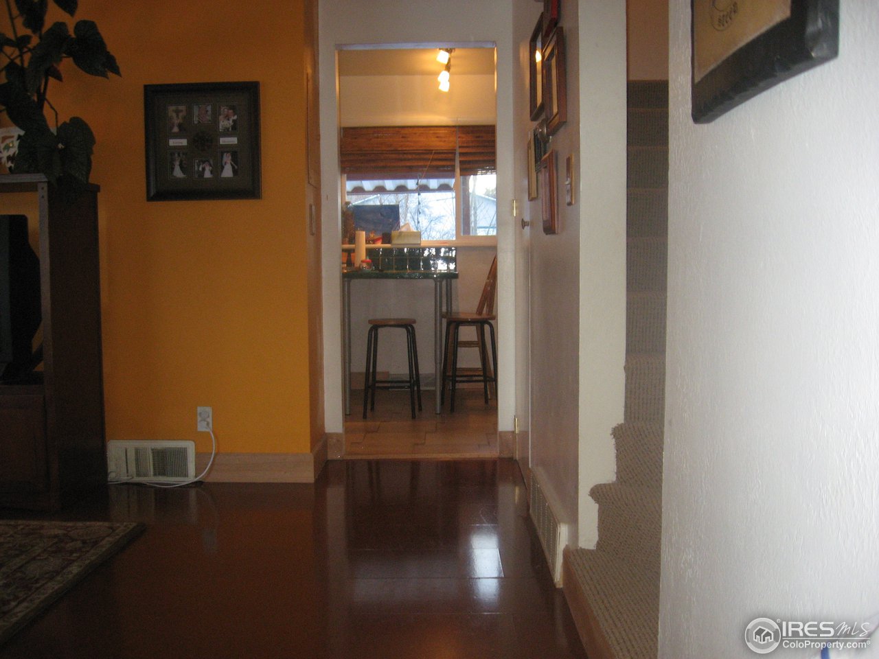 917 Rocky Road Fort Collins, CO 80521 - Photo 16 of 16 NICE flooring