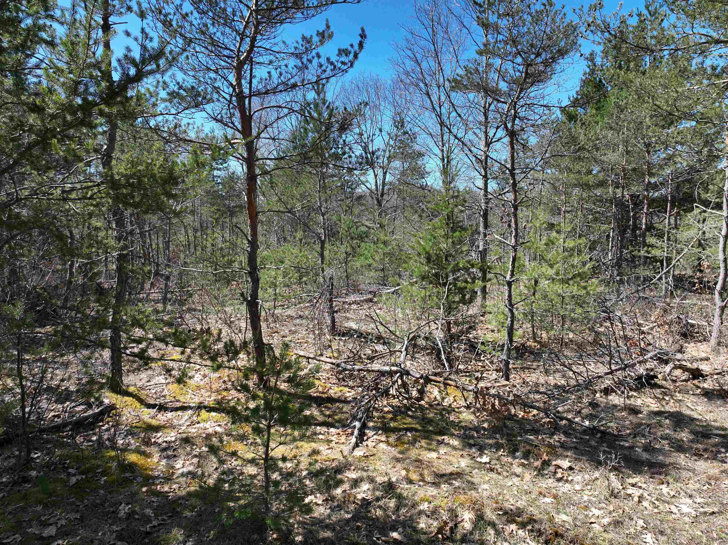43 North 43 1/2 Road, Unit PARCEL A Manton, MI 49663 - Photo 24 of 49