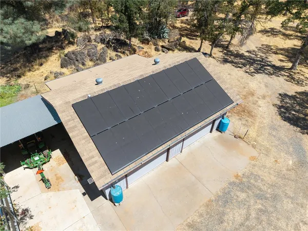 a view of a yard with a tree