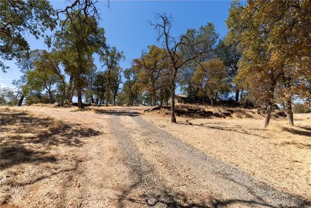 a view of a lake with a building in the background