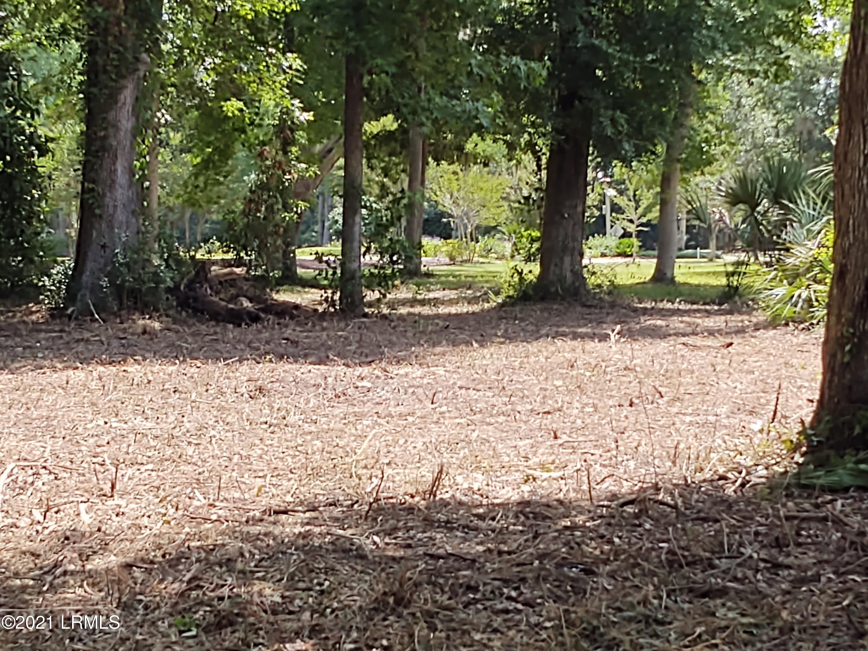 607 South Reeve Road St. Helena Island, SC 29920 - Photo 4 of 14 brown 1