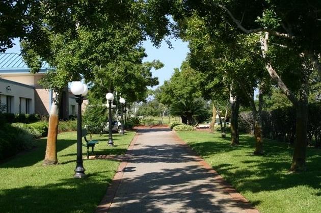 2363 Knotty Pine Drive Navarre, FL 32566 - Photo 19 of 33 a view of a park with large trees
