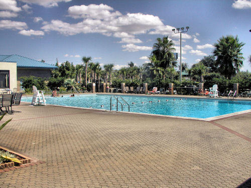 2363 Knotty Pine Drive Navarre, FL 32566 - Photo 21 of 33 a view of a house with a big yard and a large tree