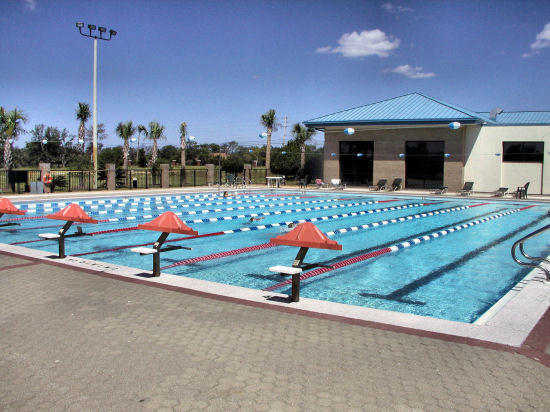 2363 Knotty Pine Drive Navarre, FL 32566 - Photo 22 of 33 a view of a house with a yard and potted plants