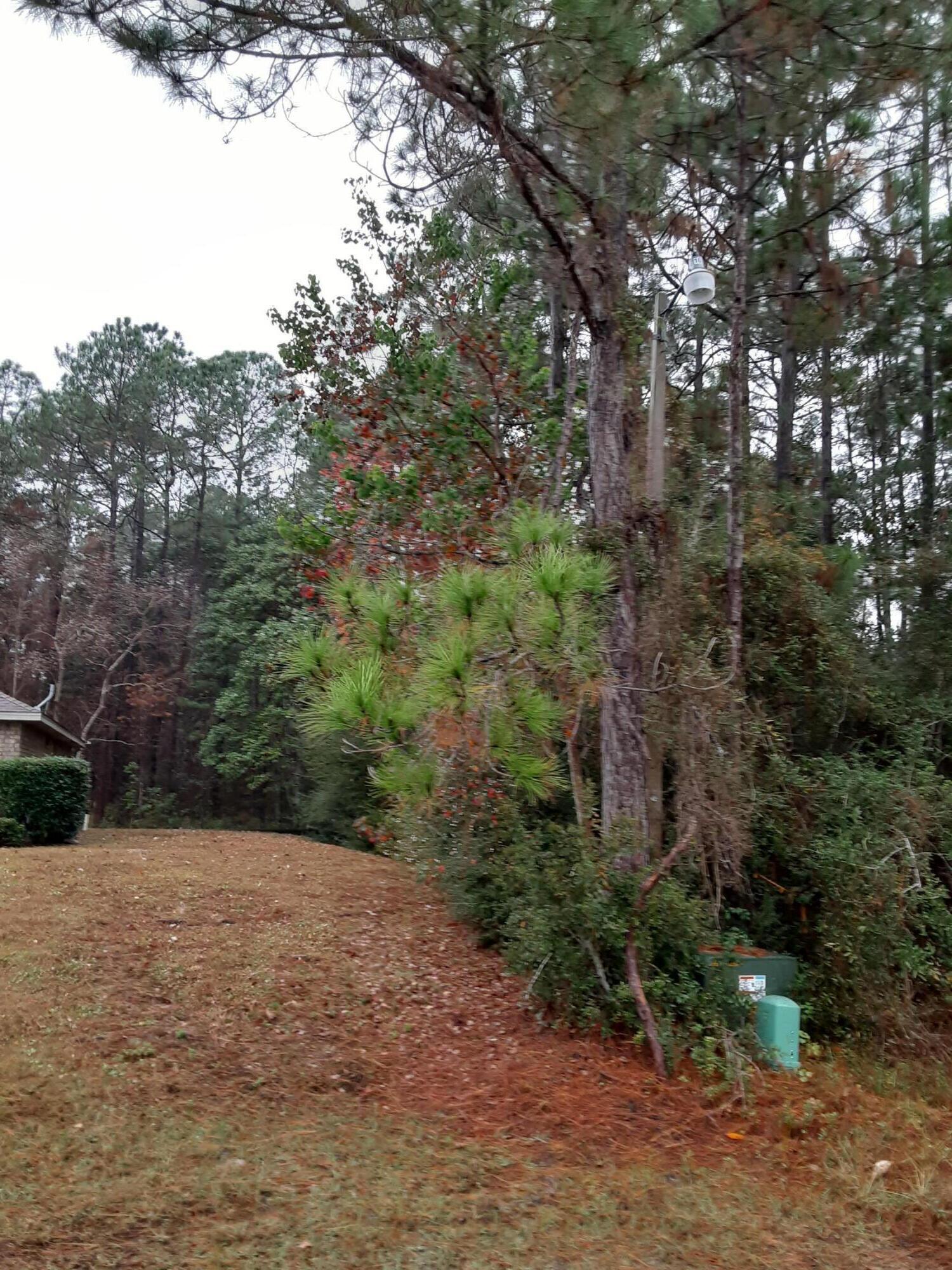 2363 Knotty Pine Drive Navarre, FL 32566 - Photo 8 of 33 a view of a yard with plants and trees