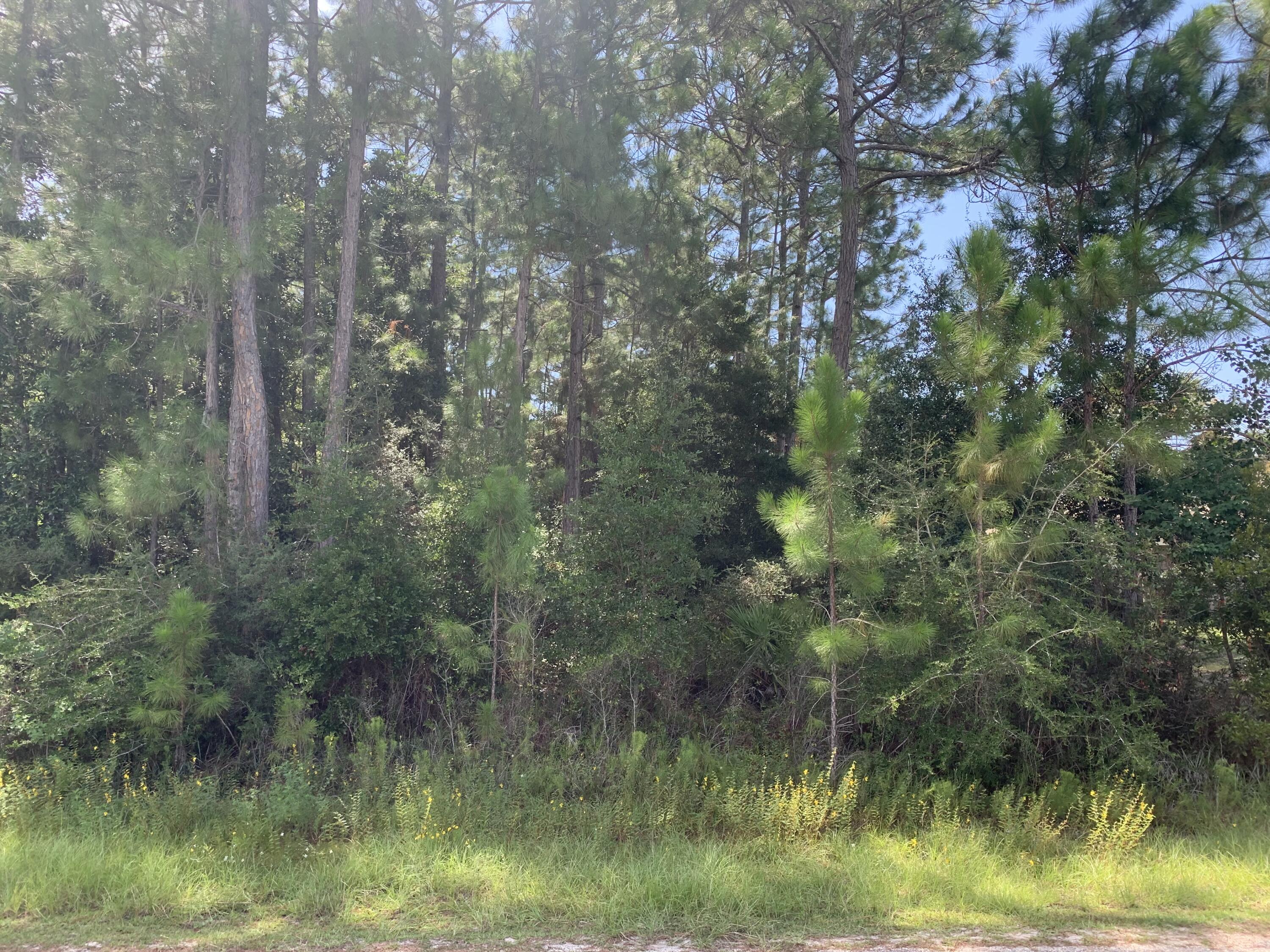 2363 Knotty Pine Drive Navarre, FL 32566 - Photo 10 of 33 a view of a lake view with houses